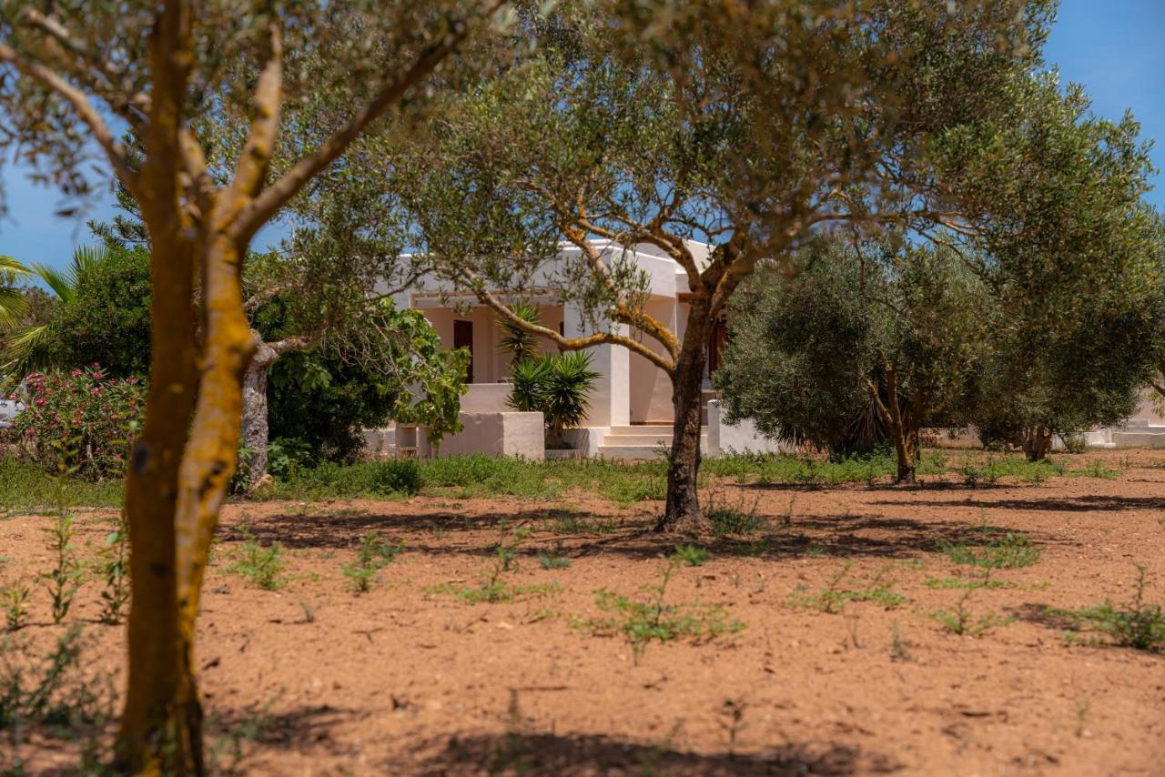 Siamoformentera Villa Beatrice 米乔尔海滩 外观 照片